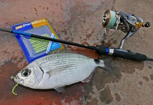 MC Para Worm PW-PINTAIL 2'' #38 Glow White