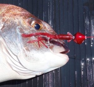 Flash J Squid 3.5'' SW #03 Red