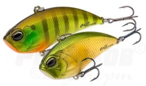 Realis Vibration 52  CCC3069  / Red Tiger
