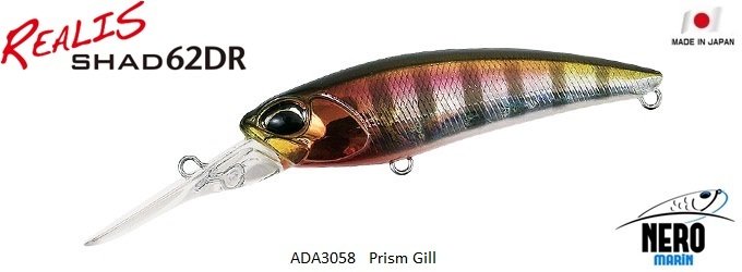 Realis Shad 62DR  ADA3058 / Prism Gill