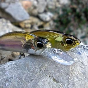 Realis Rozante 63SP  ADA3058 / Prism Gill