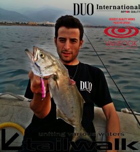 Drag Metal Cast Jig 20Gr. PHA0011 / Sardine