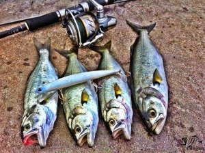 Tide Minnow Slim 140 ADA0213 / Ocean Bait
