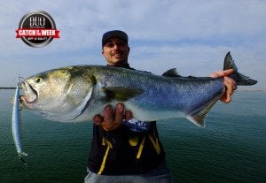 Tide Minnow Slim Flyer 175 GQA0113 / Double Pink Chart