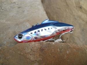 Tide Vib Score 78  CSI0206 / Ghost Gigo