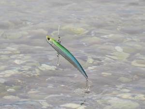 Tide Vib Slim 140  AHA0011 / Sardine