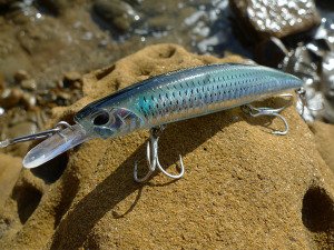 Beach Walker 120MD  GHA0282 / Hotta Sardine
