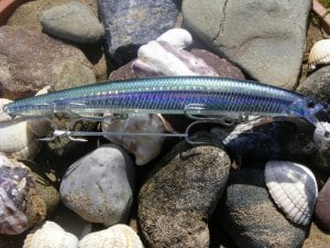 Tide Minnow 145 SLD-F  ANA0002 / Rainbow