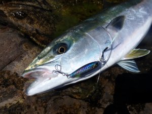 Drag Metal Cast Slim Jig 40gr. PHA0026 / Red Gold