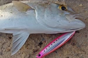 Press Bait Fusion 90  AHA0219 / Pink Sardine