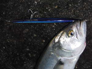 Press Bait Saira  AHA0812 / Barracuda ND