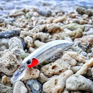 Spearhead Ryuki 110S  MCC4036 / Rainbow Trout