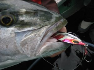 Sea Falcon Super Drain Jig 170gr. 06 Lightning Glowing Blue Pink