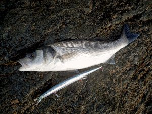 Tide Minnow Slim 200  AJA0035 / Rainbow RB