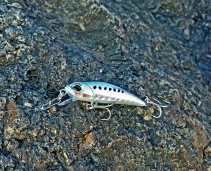 Tetra Works Toto 42S  DSH0115 / Fish Jr.