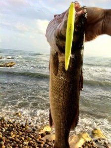 Tide Minnow Slim 175 ADA0037 Sardine Noir