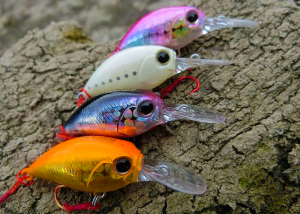 Tetra Works Kurakura  AQA0111 / White Glow