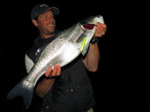 Terrif DC- 9 Bullet GHA0521 UV Red Mullet