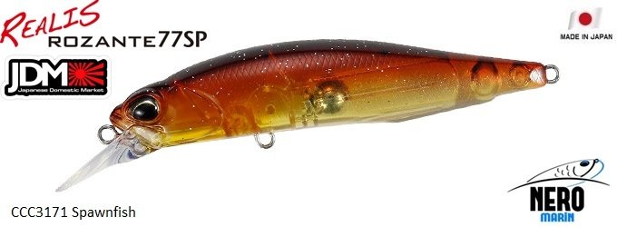 Realis Rozante 77SP CCC3171 Spawnfish