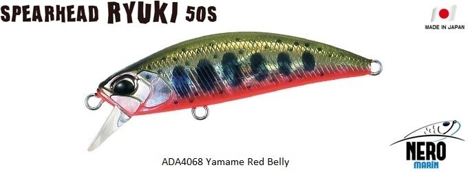 Spearhead Ryuki 50S  ADA4068 / Yamame Red Belly