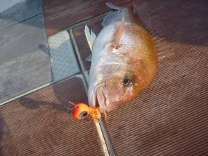 COH Kabura Slider Tai Rubber Jig 7gr. KM