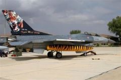 Babibi DBT01014 1/48 F-16 C, Tigermeet 2006, Dekal Çıkartma