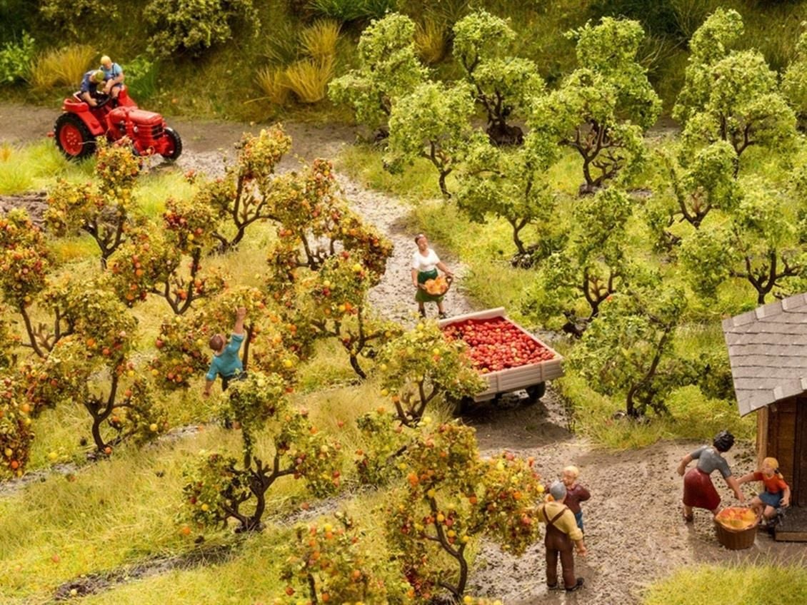 Noch 21530 Plantasyon Ağaçları, 12 Adet, 3,5 cm. Diorama Malzemesi