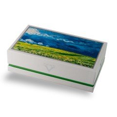 Van Gogh Wheatfield Under Thunderclouds FP