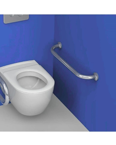 Yaşlı Ve Bedensel Engelli Tutunma Barı,Küvet Tutamağı Paslanmaz Krom Kalın Banyo Tutamağı 32Q 60cm