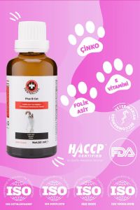 Plus B 50 ml Kediler Için Tüy Sağlığını Destekleyici Multivitamin Damla Tüy Damlası Yepyeni Formül