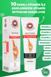 Multi Paste Kedi Multivitamini Malt Macunu Taurin Mos Kalsiyum Yepyeni Güçlü Formül 100g