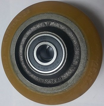 50464813