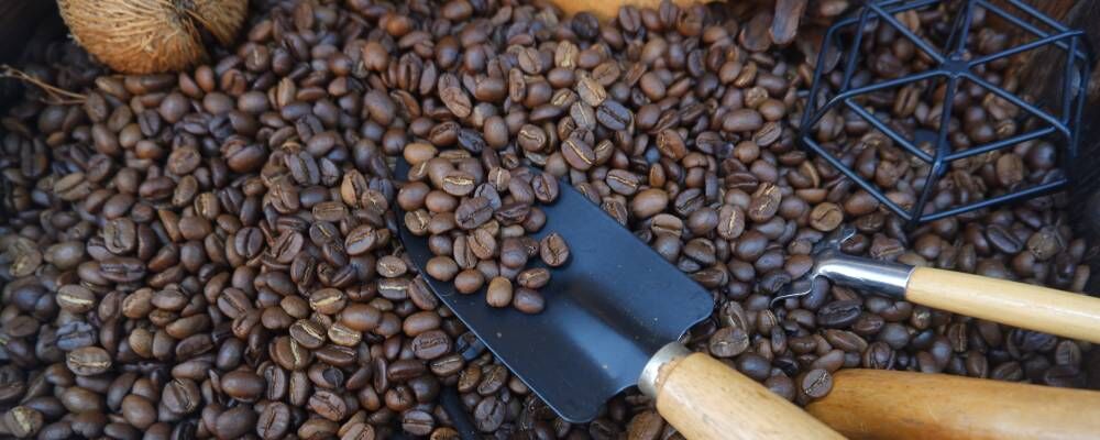 Guatemala Kahvesi: Farklı Tat ve Aroma Profillerinin Keşfi