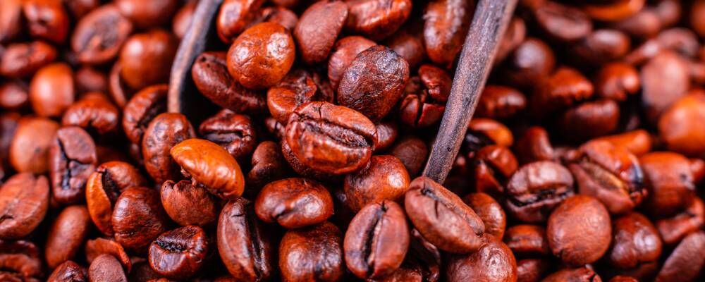 Panama Kahvesi'nin Lezzet Sırları ve Popülerliği Artıyor