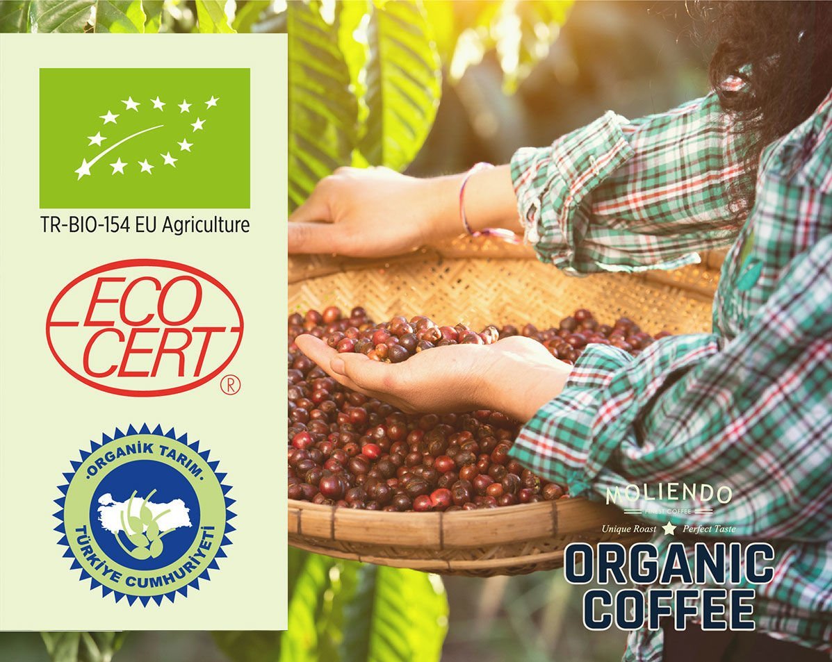 Organik Kahve Nedir? Gerçek Organik Kahve Nasıl Anlaşılır ?