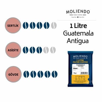 Moliendo 1 Litre Guatemala Antigua Filtre Kahve 70 g
