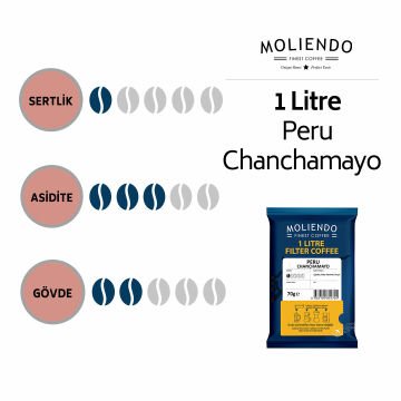 Moliendo 1 Litre Peru Chanchamayo Filtre Kahve 70 g
