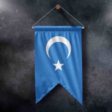 Doğu Türkistan Kırlangıç Bayrak