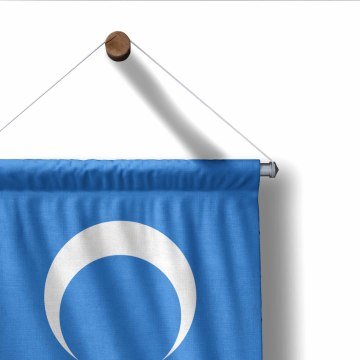 Doğu Türkistan Kırlangıç Bayrak