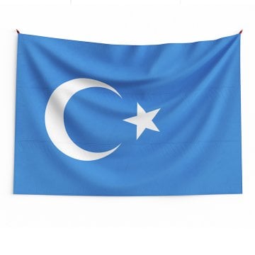Doğu Türkistan Bayrağı
