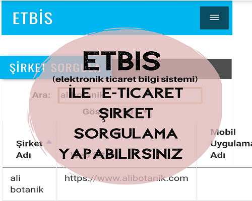 ETBİS(elektronik ticaret bilgi sistemi)