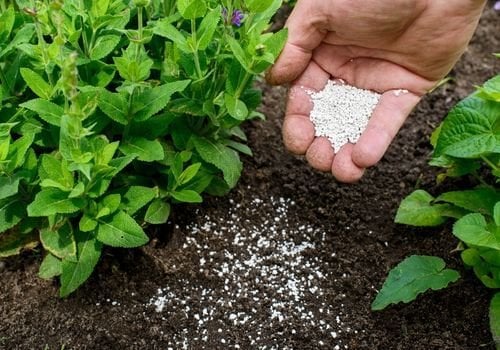 Toprağa Vitamin Nasıl Verilir?