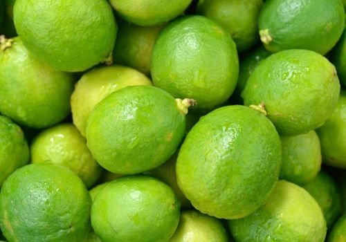 Lime Limon Fidanı Çeşitleri