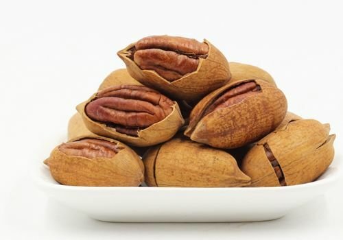 Pikan Cevizi Fidanı Çeşitleri