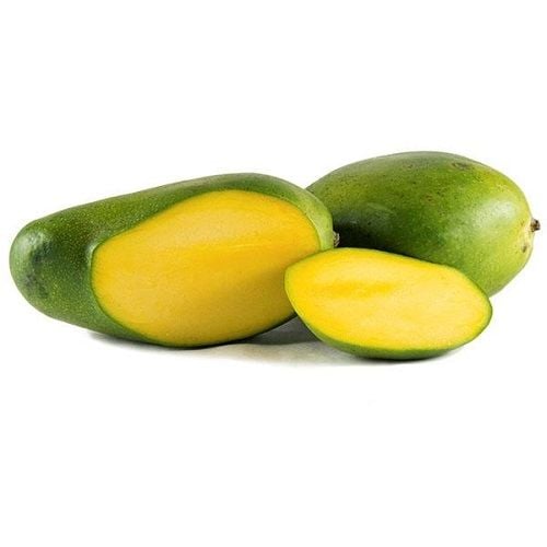 Keitt Mango Fidanı Mangifera İndica L.