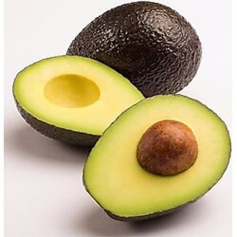 Has Black Avokado Fidanı