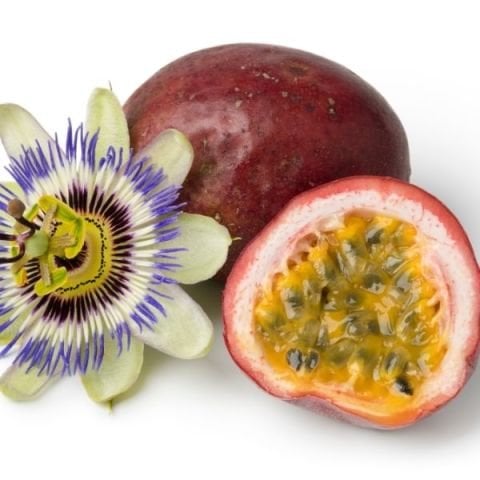Çarkıfelek Çiçeği Meyvesi Yenen Passiflora Edulis Saat Çiçeği