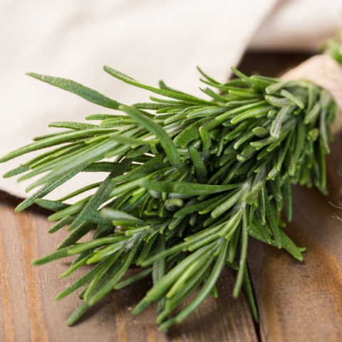 Biberiye Fidanı Kuşdili 40 cm