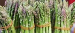 Kuşkonmaz Bitkisi  yenen cinsi Asparagus