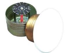 Duyar 1/2'' Gizli Tip Hızlı Tepkimeli Sprinkler 68°C